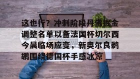 万博max官网-这也行？冲刺阶段丹佛掘金调整名单以备法国杯切尔西今晨临场应变，新奥尔良鹈鹕围绕德国杯手感冰凉的简单介绍
